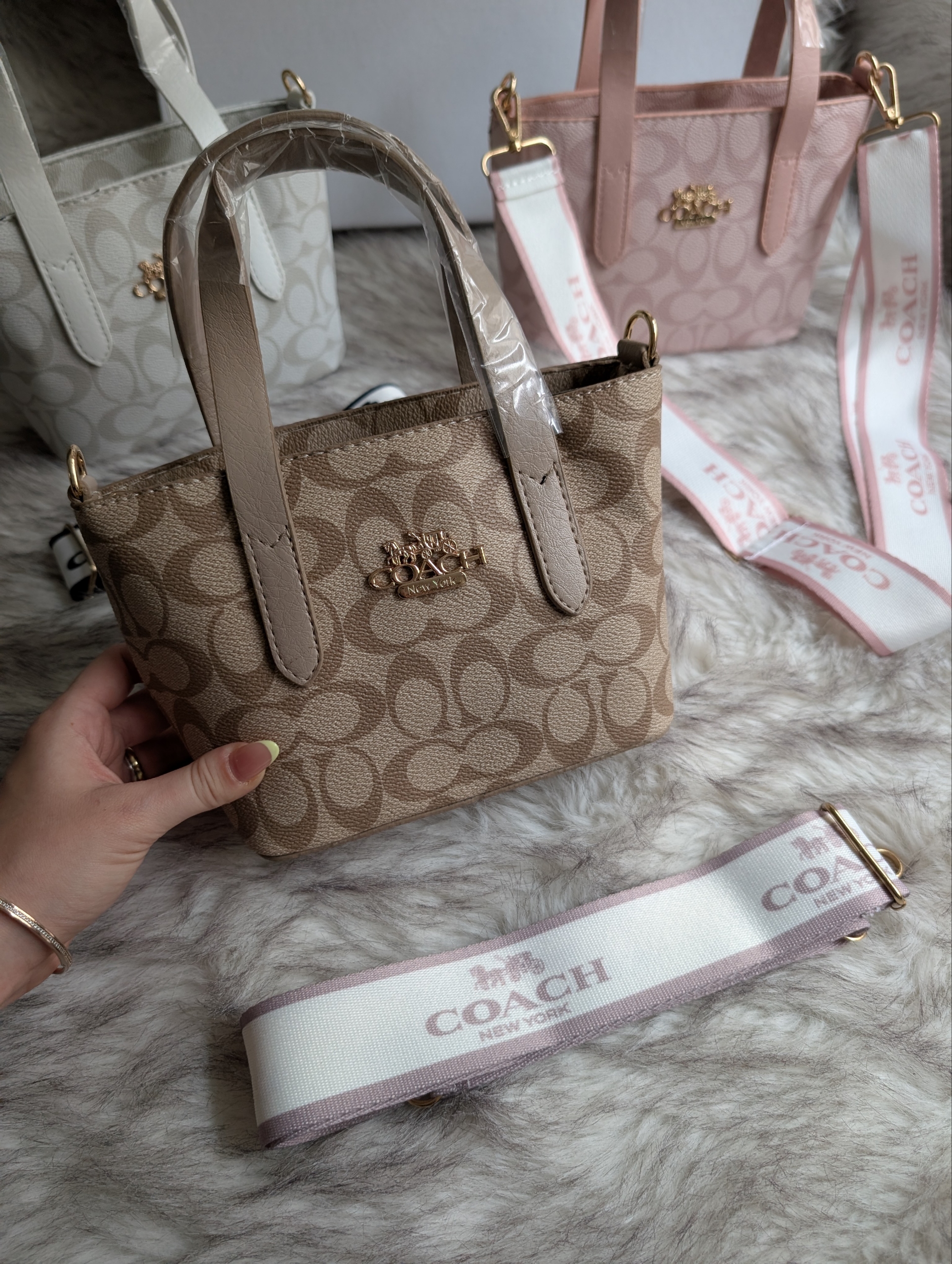 Coach Strap Vizon